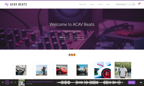 Top 5 Beat Selling WordPress Templates/Themes 4 Acav bettter Capture