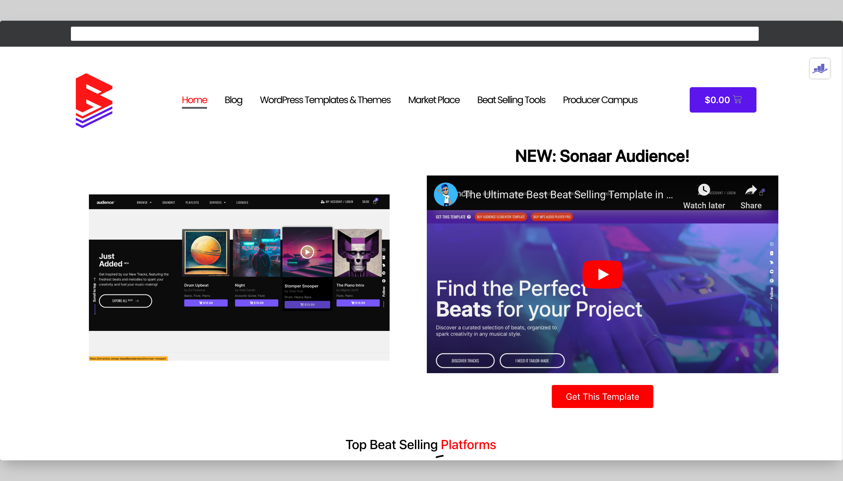 Beat Selling Website